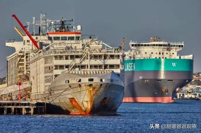 史德拉海牛太好吃:你觉得《海贼王》哪个人物塑造的最好？ 史德拉海牛分布区域
