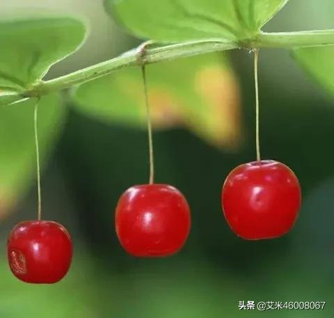 如果现在可以为当年错过的那个人说一句话,你想说什么？