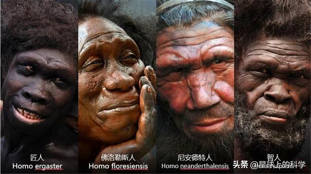 马鹿洞人:北京猿人是北京山顶洞人的先祖吗？他们有没有联系？