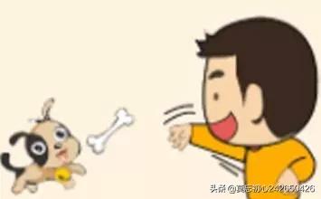 给领导送礼送什么茶叶好？
