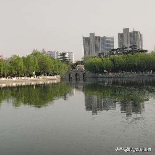 小蝴蝶花阅读及答案:小蝴蝶花阅读及答案三年级 4月份适合种什么花（阳台盆栽）？