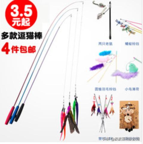 神采飞扬宠物团购:神采飞扬宠物店 亏损持续，商家“逃离”，美团为何深陷困局？