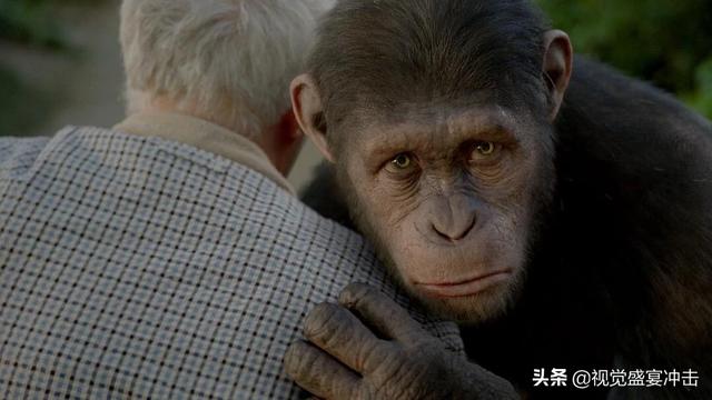 猩猩崛起电影:为什么很多人觉得《猩球崛起3：终极之战》不好看
