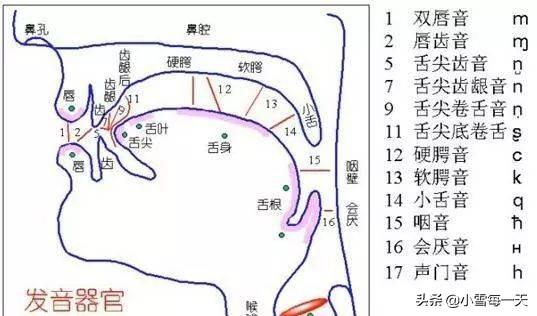 怎么让自己说话、唱歌咬字清晰