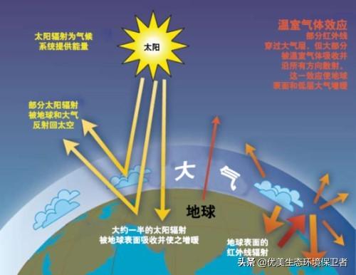 新疆百灵鸟论坛:摄影圈中的老法师是什么？ 新疆棉花质量好