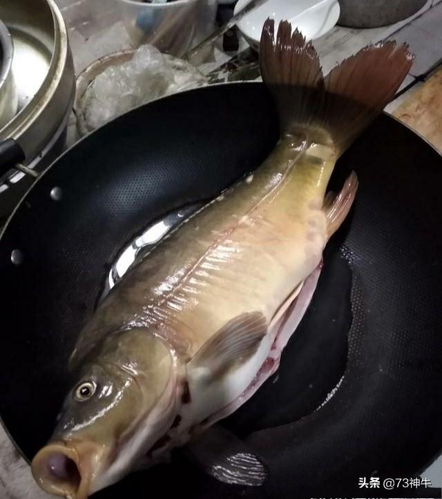 哪种淡水鱼鱼刺少还好吃?-育儿网