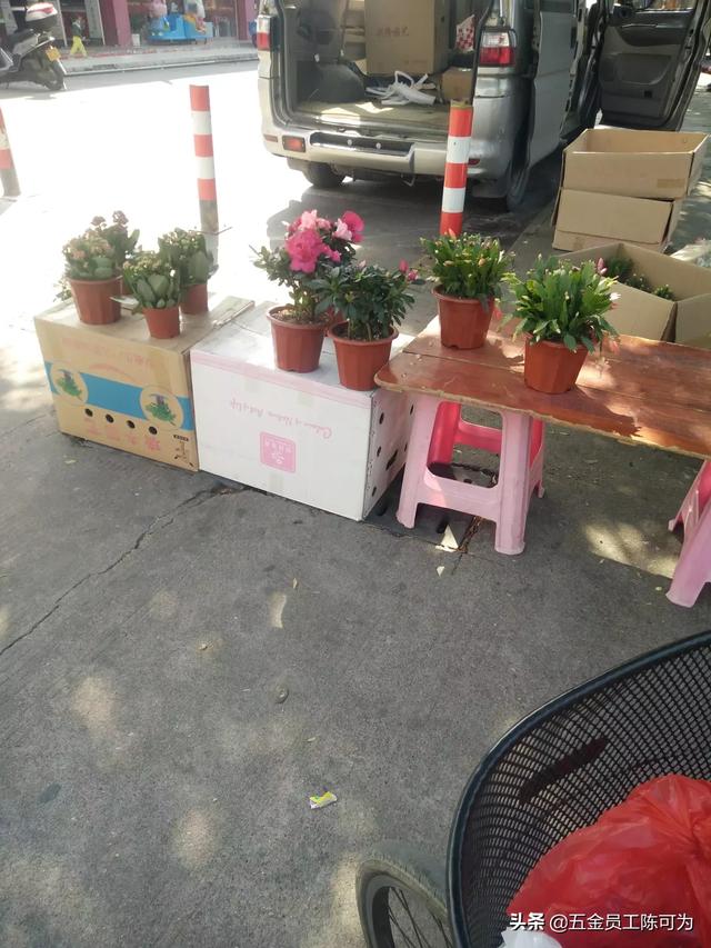 谭江柏:为什么谭咏麟被人称呼为谭校长？