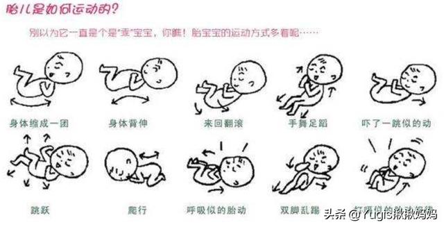 怀孕6个月，孕妇肚子突然一半硬一半软，是胎儿缺氧了吗？该怎么办？插图4