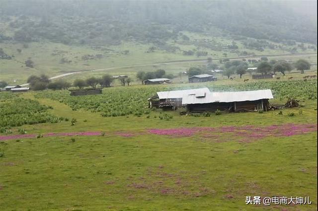 云南城子古村灵异事件:什么时间去云南旅游最好？
