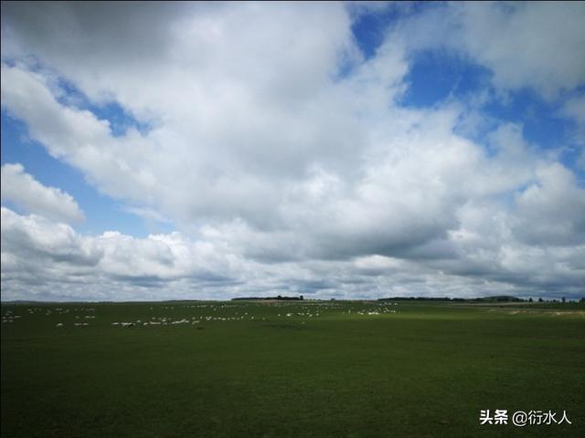 夏天适合什么微信名最好:大家知道什么植物适合在南方夏天种植的吗