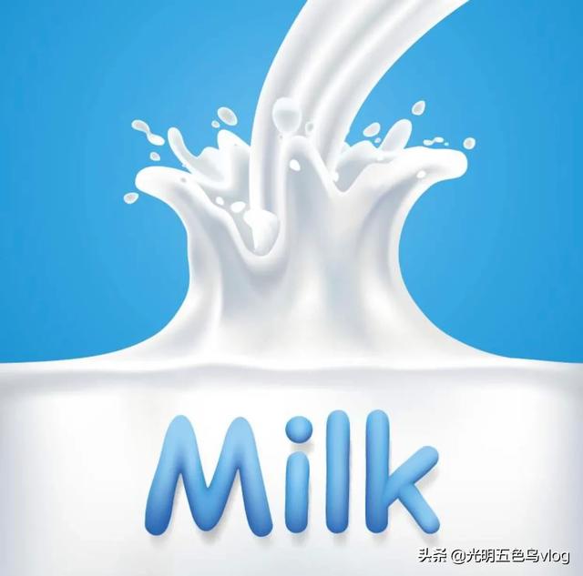 哪个乳粉在国内比较受欢迎？