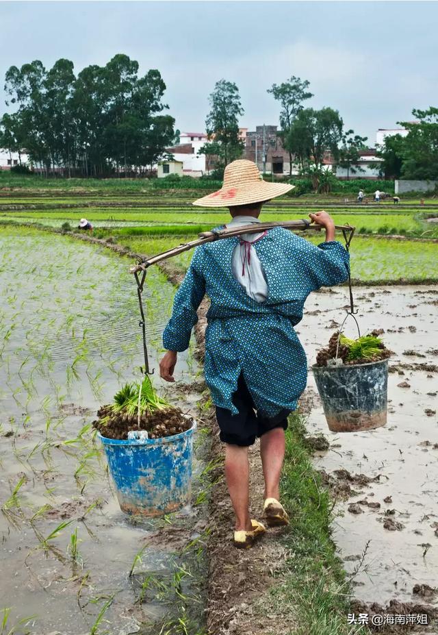 头条问答 - 老话说"十年难发种田人"是什么意思?(6个回答)
