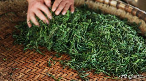 煎茶和绿茶的区别,普洱生茶的加工工艺与绿茶有何不同？