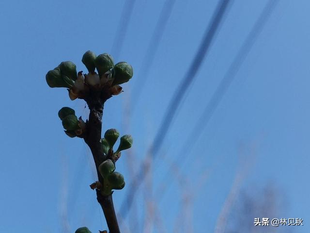 你见过最好的一句祝福是什么？