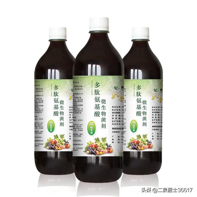 棉花蚜虫:想学种植棉花，多了解一下施肥的知识，如何进行叶面施肥？