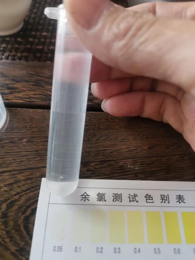 养鱼有什么讲究，养鱼有哪些需要注意的技巧？