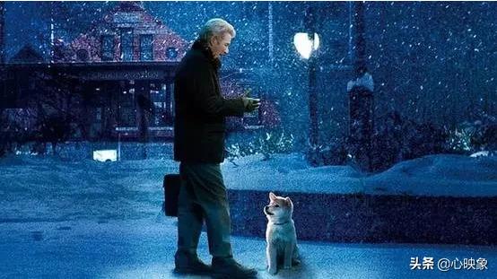 忠犬小八电影:如何评价电影《忠犬八公》？