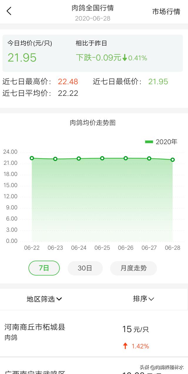 2020年鸟啦网最新批发商:2020年鸽子价格走势能回升吗？