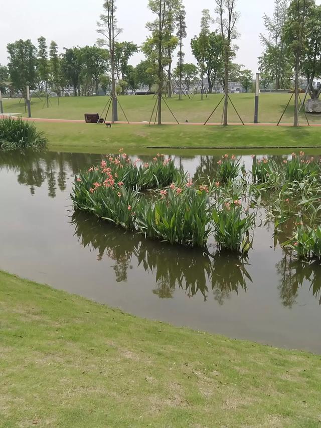 19岁湖北大学生独自到四川旅游,在峨眉山金顶失联5天,当晚冒雨离开住所；家人：决不可能轻生, 你怎么看？