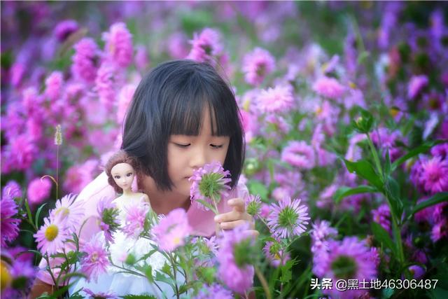 八公犬物语在线观看:摄影“尼康”党们，是什么原因让你当初选了尼康？