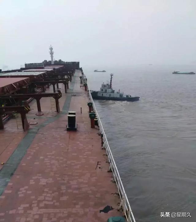 深海喂食者攻略:如何分辨鲫鱼是不是野生的呢？