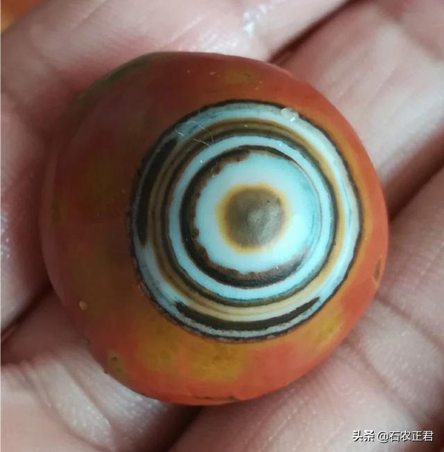 战国红不值钱,战国红的原产地在哪里？有没有交易市场？