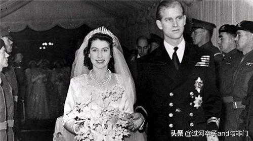 英国女王的狗狗:宠物纠纷，狗狗咬死了别人家的狗狗。我该怎么处理？