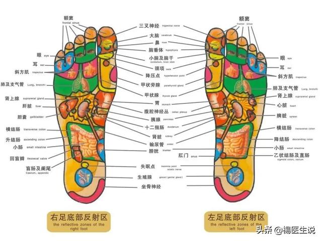 天天用热水泡脚，是真的养生还是等于慢性自杀呢？插图7