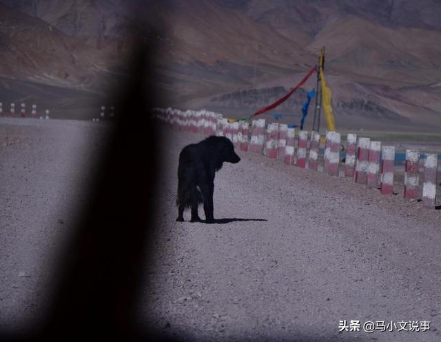 新疆失踪女主持人照片，为什么青海失踪女大学生失踪才20天就只剩骨骼