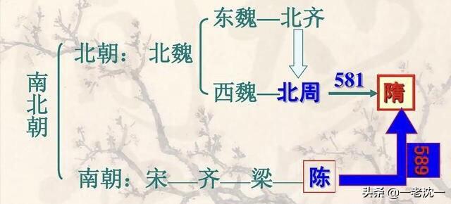 金钱白花蛇图片中药:金钱白花蛇的图片 头上一点黑一点白的蛇是什么？