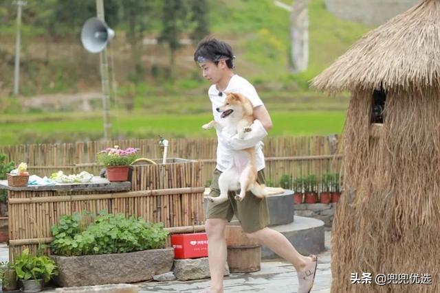 彭昱畅个人资料及作品:柳云龙导演的作品怎么样？