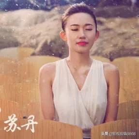 演员苏丹简介？