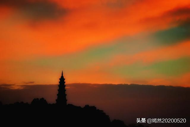 忆宠物摄影的微博:手机摄影的画质，是否可以和相机的画质相提并论呢？