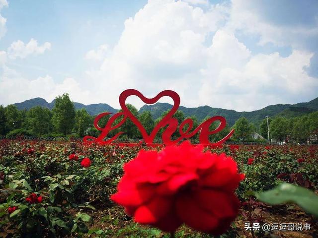 仇晓的老公:你知道现在的大咖，谁是小助理出身吗