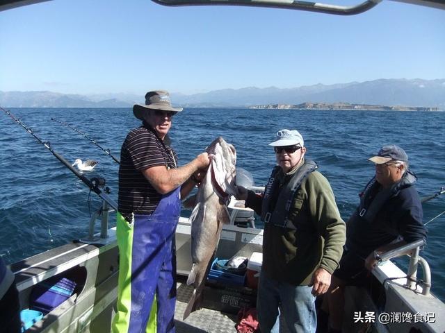 深海巨腹鱼在哪钓:90后想做个职业海钓人，去哪里比较合适？