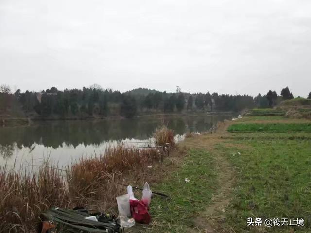 在肥水塘钓鱼用的饵料是睲的好还是素的好？