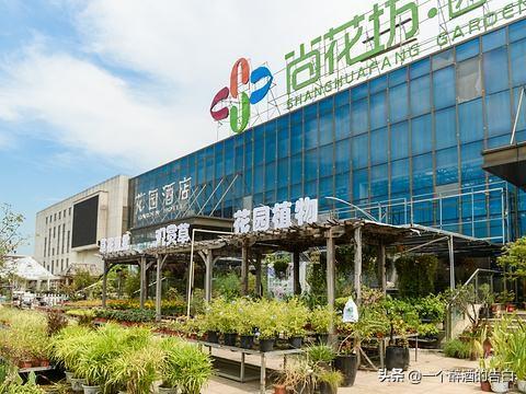 想回家开个花店,有好的建议吗？