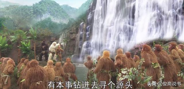 小石猴:有什么既便宜，又聪明，不需要在笼子里饲养的宠物？