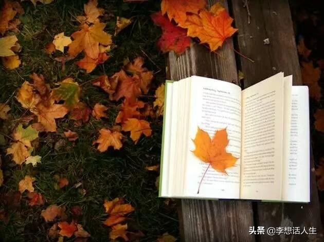 乔峰、杨过、张无忌、若论实战水平,三人到底谁更强？