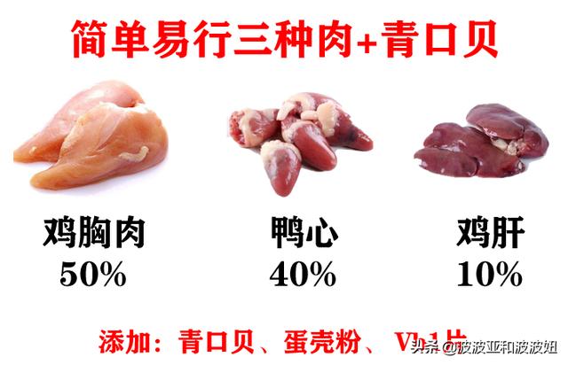 神采飞扬宠物团购:神采飞扬宠物店 亏损持续，商家“逃离”，美团为何深陷困局？