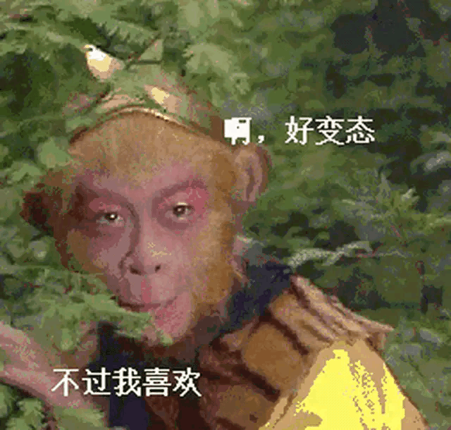 2019全国电影总票房642.66亿,说说哪部电影最精彩？