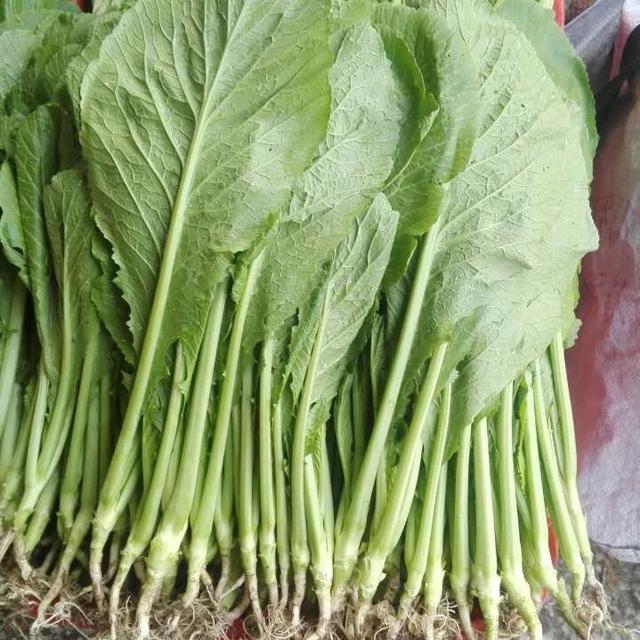 请问一下潮汕人,刚生完孩子的女性,第一餐是吃春菜粥的吗?-育儿网