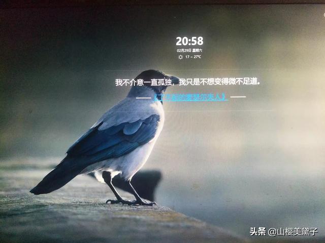宋朝诗人辛弃疾、苏东坡、柳永、李清照四人中你最喜欢哪一个？为什么？
