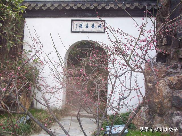 山东新泰盘龙井传说，在你心目中自己的家乡能在最美中国风景中排第几位