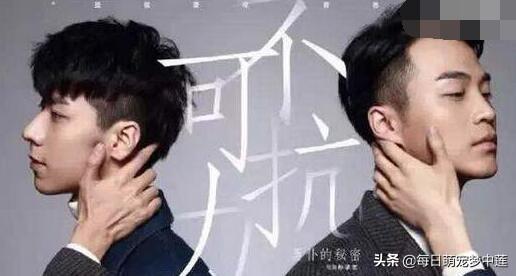 还有没有好看的耽美剧？《假偶天成》正在追除外？