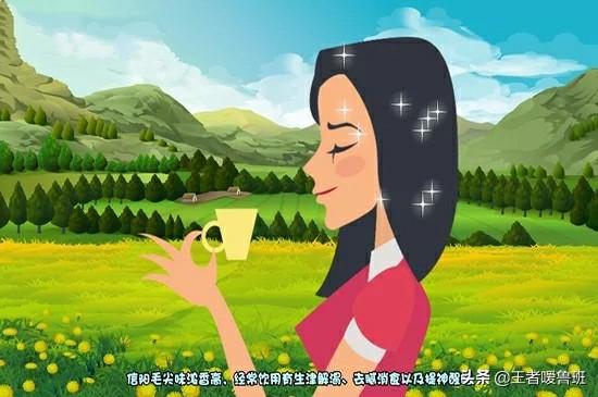 绿茶品种,绿茶包括哪些品种的茶叶？