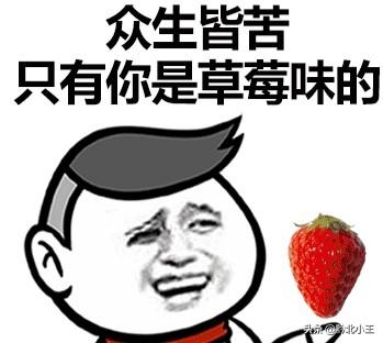 让女生迅速来电的撩妹语录有哪些？管用的？