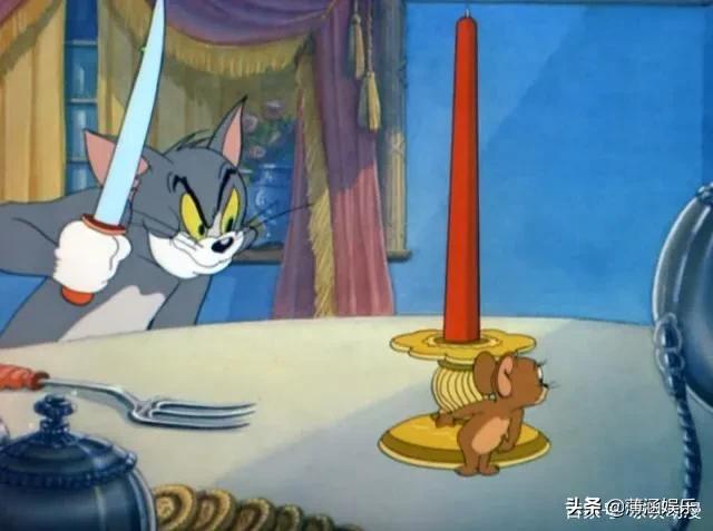 搞笑猫咪和狗狗图片:同时养一只猫和一只狗是种怎样的体验？
