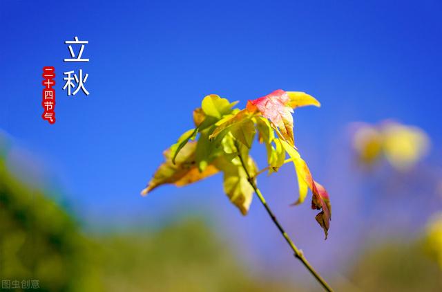 孟立秋:六月立秋赶死牛，七月立秋慢悠悠，今年的立秋是什么概况？