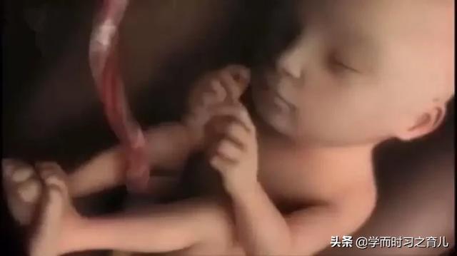 算命啥时候怀孕准吗,孕晚期医生给估算的预产期准吗？